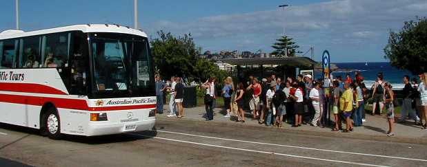 Australian Pacific Mercedes